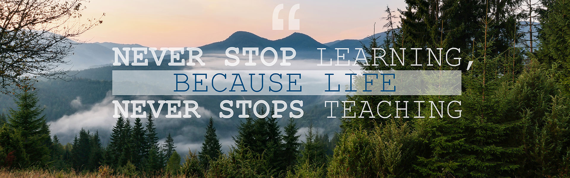 Join Dr. Laurence Dion at her new chiropractic clinic in Airdrie! Opening February 2026!